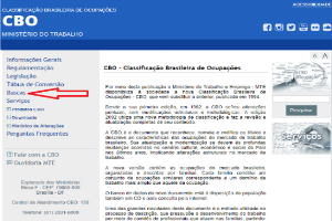 CBO: o que é, para que serve e onde consultar